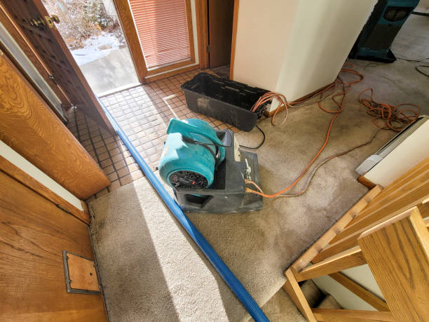 Best Water damage restoration near me  in Trenton, MO