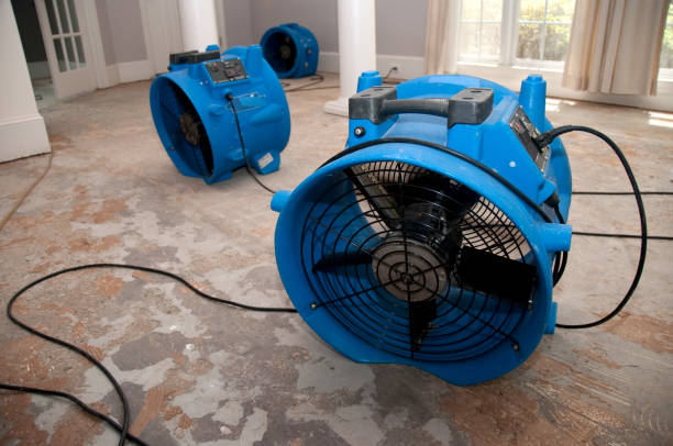 Best Sewage cleanup and water damage restoration  in Trenton, MO